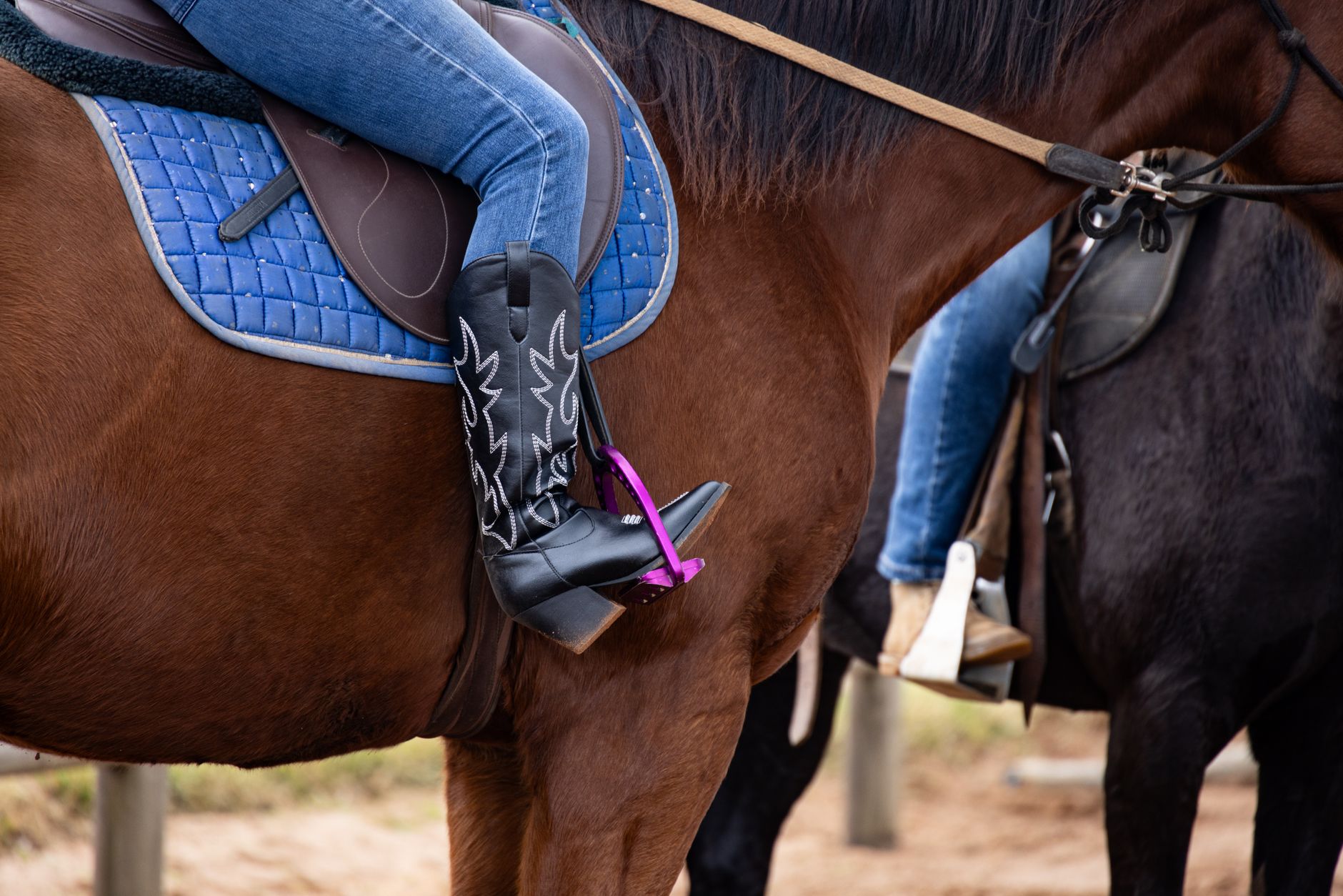 Mesurer votre cheval pour choisir la bonne selle